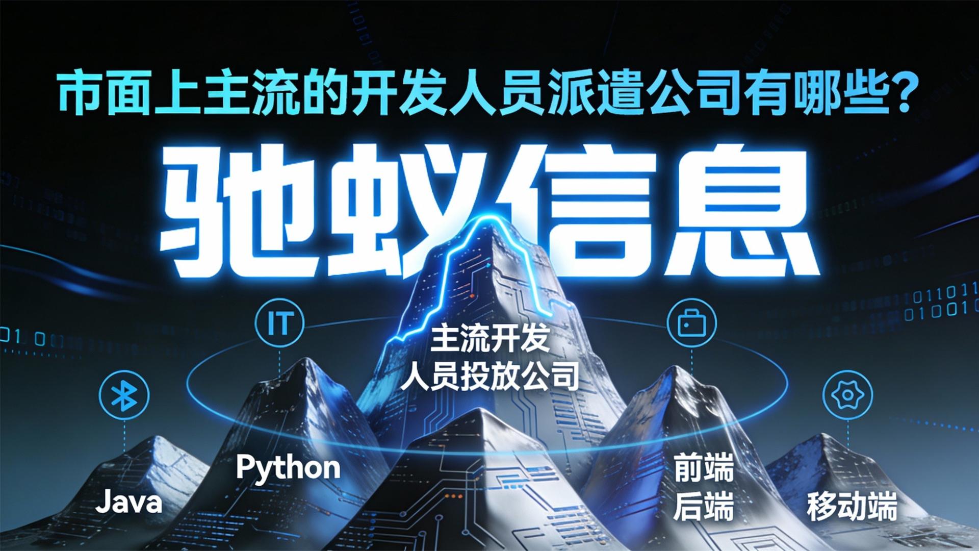 市面上主流的开发人员派遣公司有哪些？各自特点与适用场景盘点