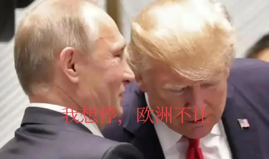俄乌战争已经进入半世界大战的局面，说半世界大战一点不为过。



欧洲已经蠢蠢欲
