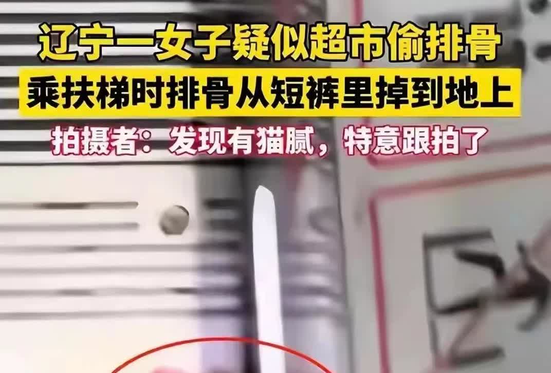 在这个吃喝不愁的时代，谁能想到一块排骨可以引起网络热议？辽宁一位女子在超市偷排骨