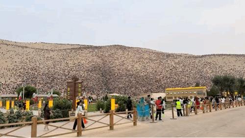 不是都很穷吗？你们怎么还有这么多人去旅游 [泪奔]