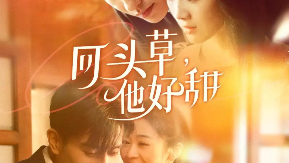 热播短剧《回头草，他好甜》短剧：80 集演绎破镜重圆的酸甜爱恋