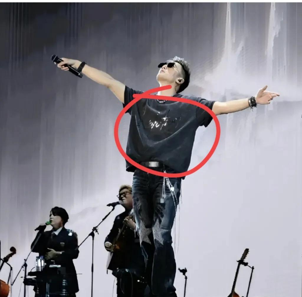 我有种强烈的预感，
谢霆锋以后可能开不了演唱会了！
不是因为他一整场不换衣服，而