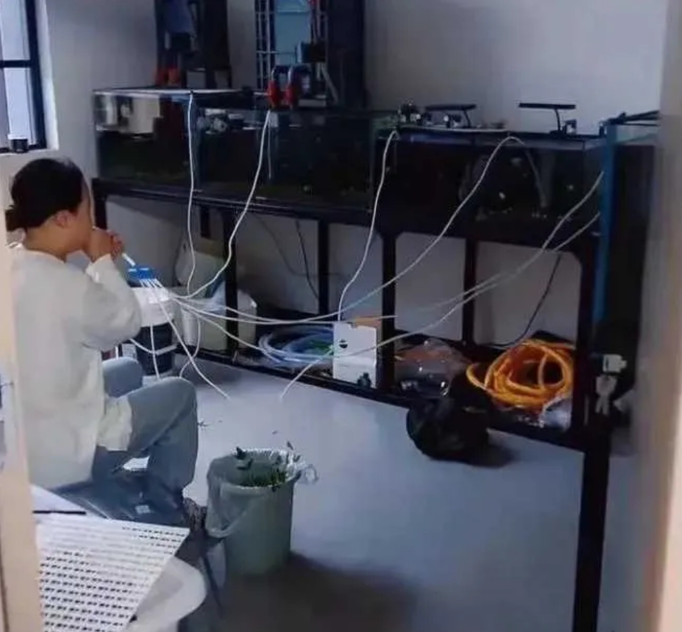 家里停电鱼怎么办，人工供氧