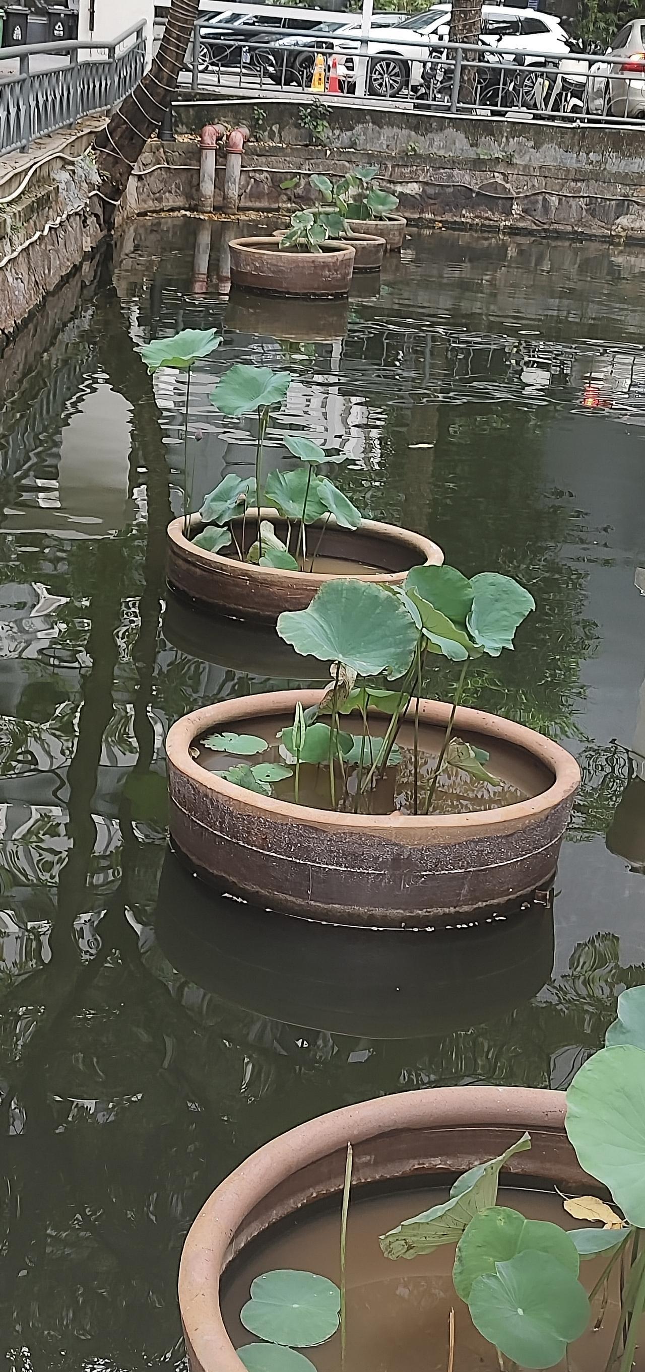 婆媳关系，总说，先有婆婆后有媳妇，这句话，不认可。（个人意见）。
先有婆婆，意思