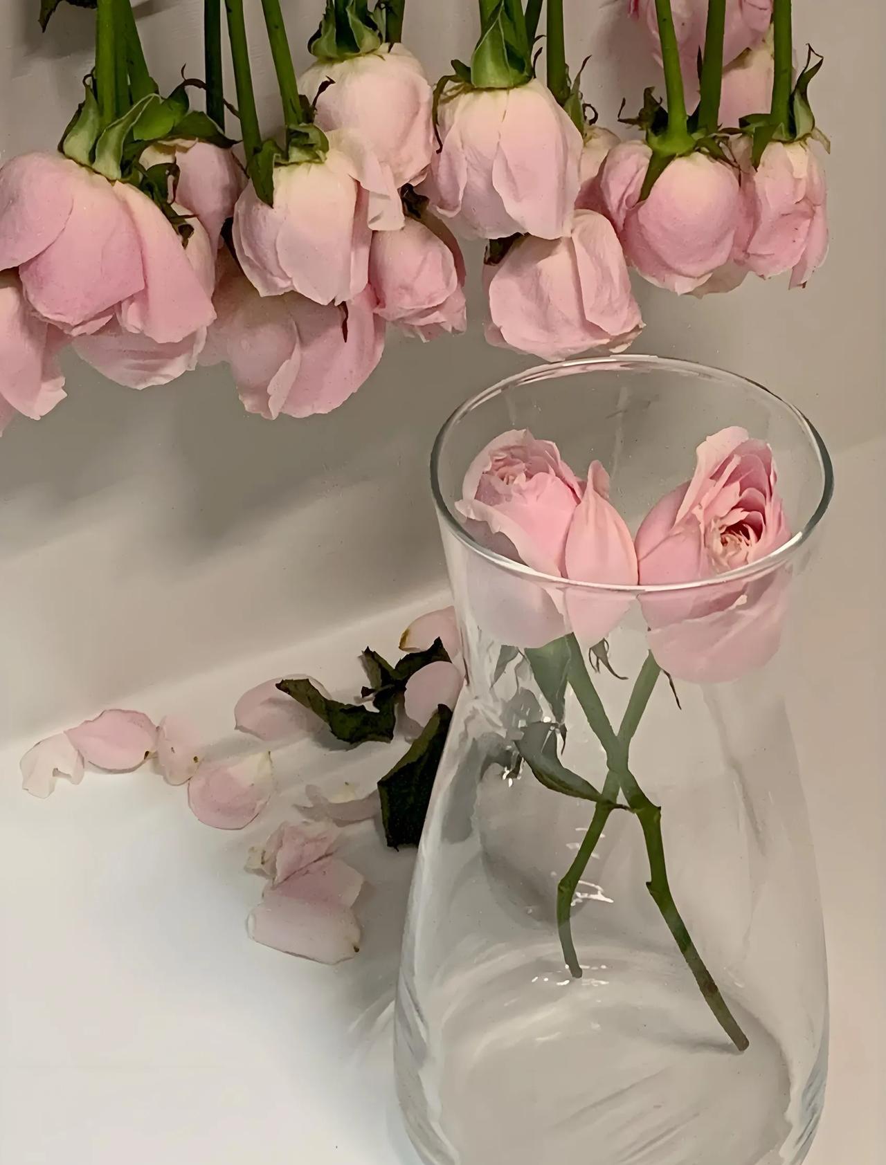 不再被反复袭来的烦躁困扰，内心终于获得了久违的宁静。这种平和的感觉，比什么都珍贵