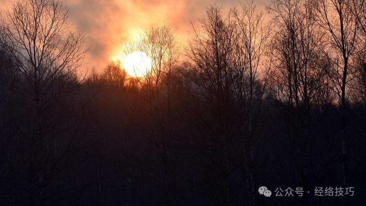 进入“三九”，记得多拍这处，帮心气通顺、助肝气调和，一举两得！