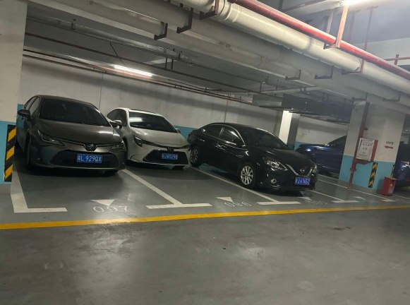 停到中间才发现，马路三大妈齐了
