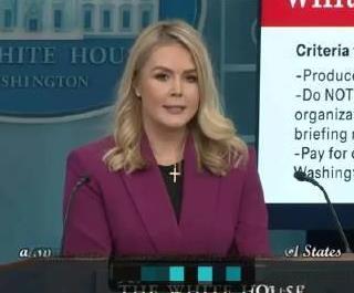 白宫换了新的新闻发言人，之前拜登的黑人卷毛女被解雇了，新版发言人是金发白人女，第