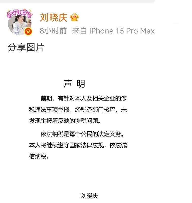 其他人可以看看，有效澄清，内容短简洁明了，税务查了，没有任何问题。
她已经在这里