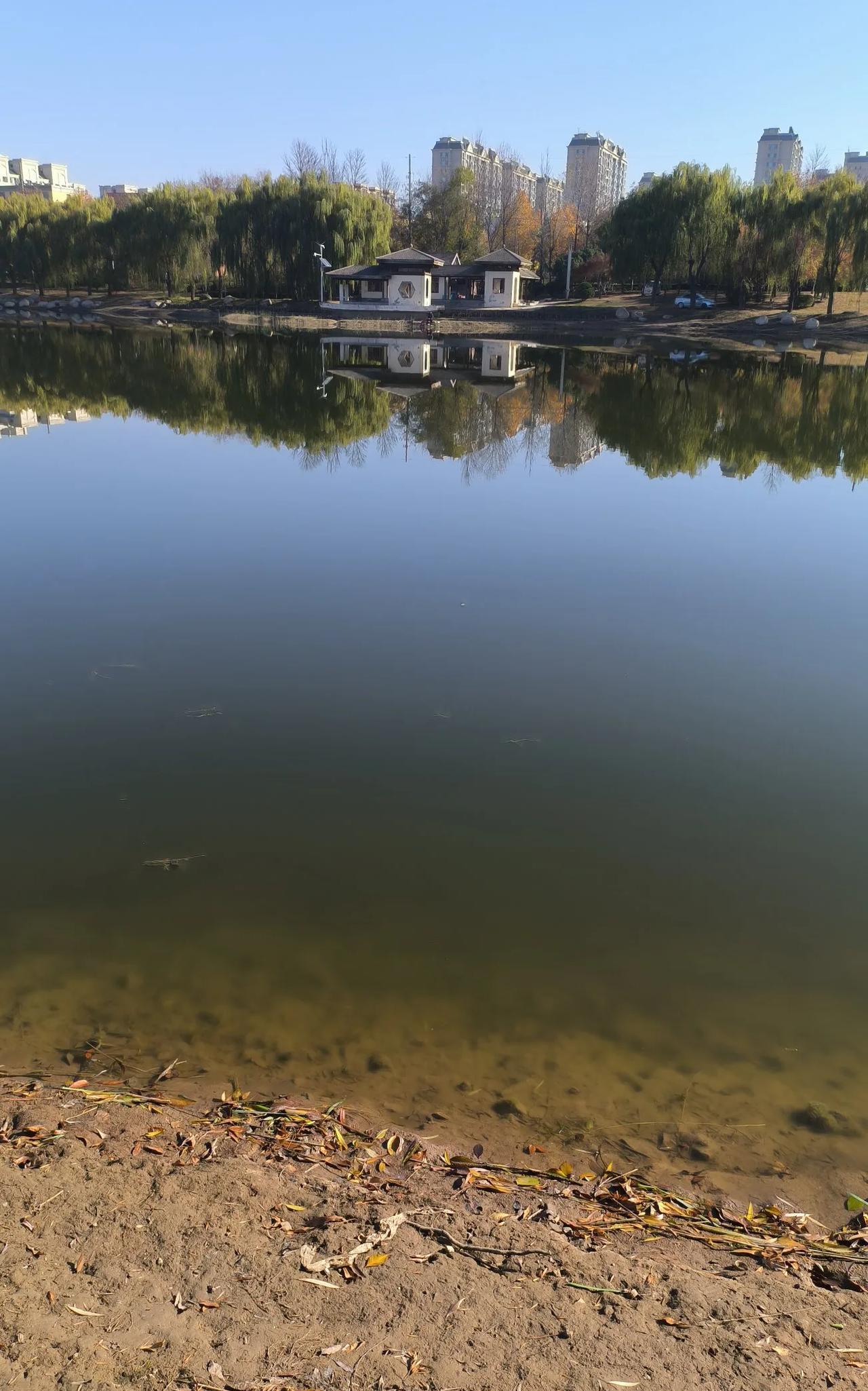 大家发现了吗？你发善心或为朋友借出去的钱，无论借给谁，要回来的可能性几乎为零。不