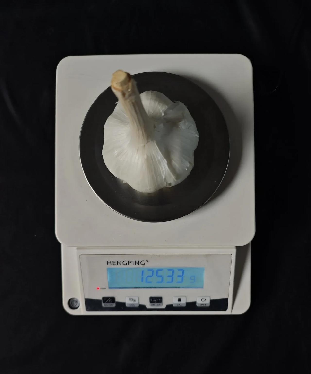 大蒜新品种!
您见过直径8.5cm，单头125.33g的大蒜吗？这是我们培育的新