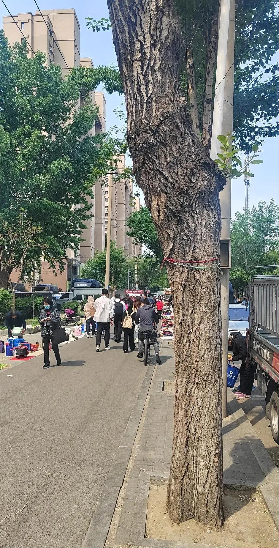 #人老了，是有儿女还是有钱幸福？#现在的社会肯定是有钱幸福了，老了就尽量少给子女