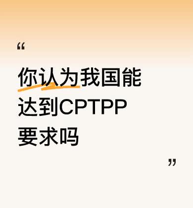 CPTPP这标准不是靠走关系，不是靠理论，不是吹嘘的，