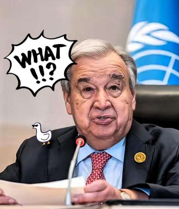 联合国突发重磅！因美国 28 亿欠费，1.4 万蓝盔部队将撤离 11 个冲突区，保护真空恐现