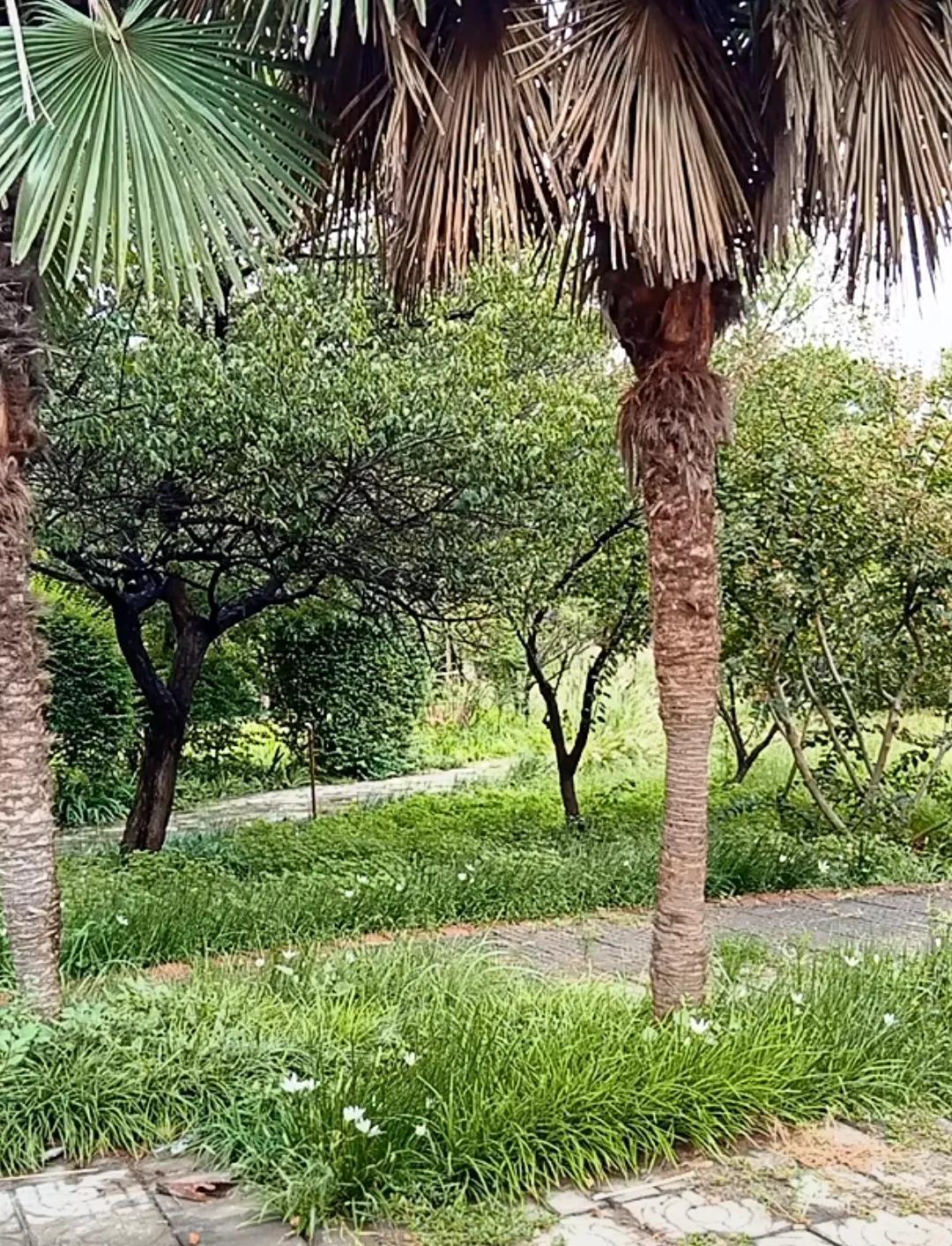 刚刚听到柴桑大姐说，9月29号的会延期了，刚接到的通知！
直播间的网友们心情不能