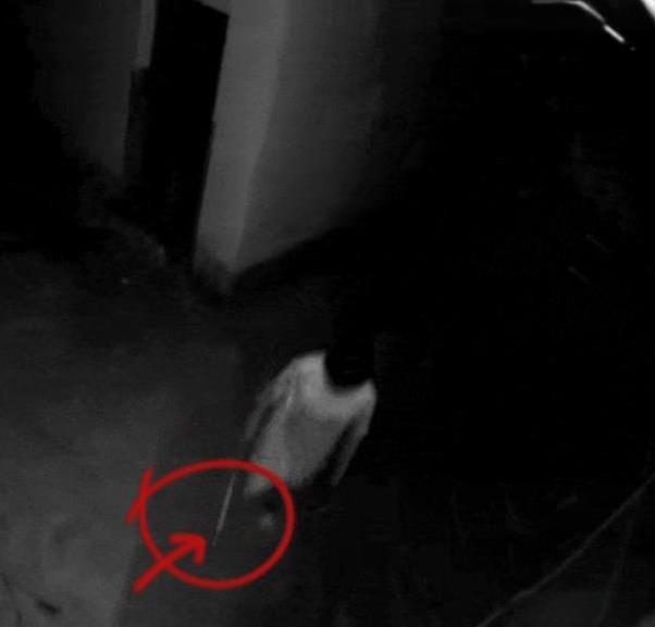 男子用竹竿钓走钱包，被刑拘！安徽黄山，薛先生早上发现放在床尾的钱包不翼而飞，里面