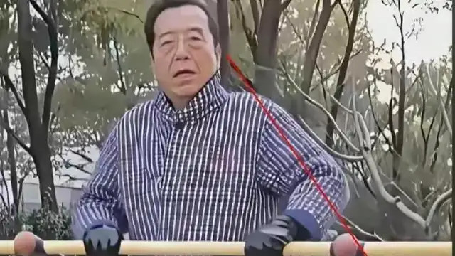 86岁李双江为啥不退休？台上唱歌台下坐轮椅，真相让人心疼