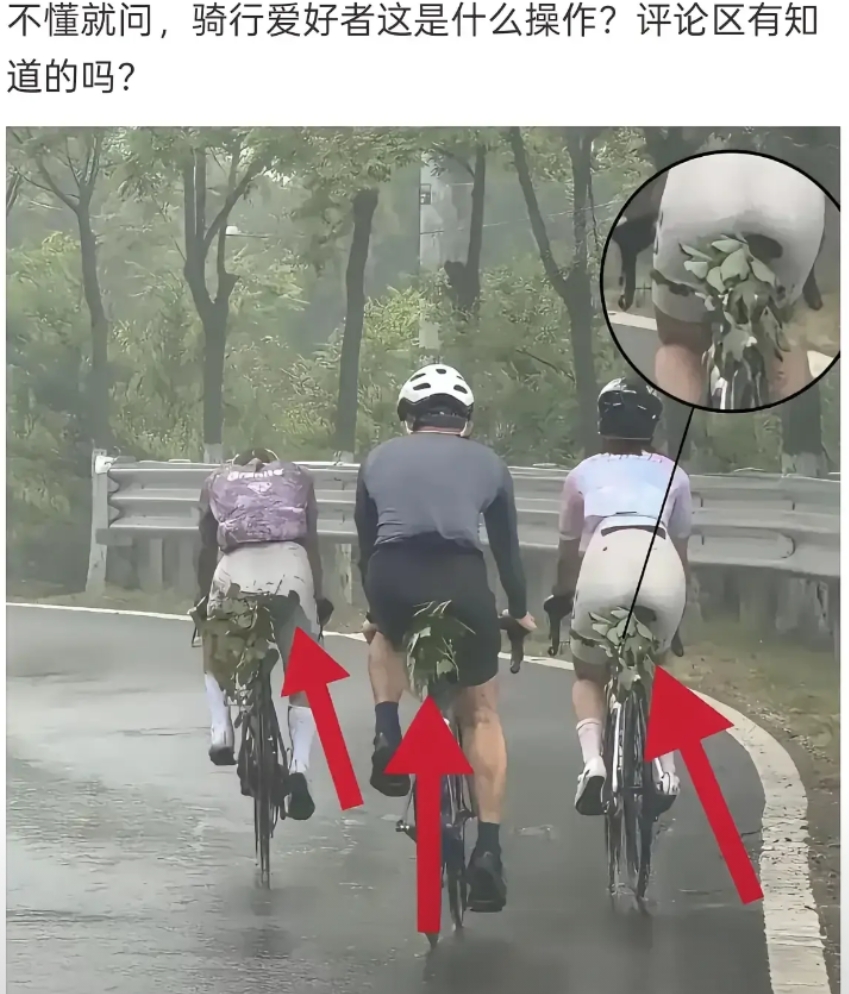 这是什么作用？没看懂啊。