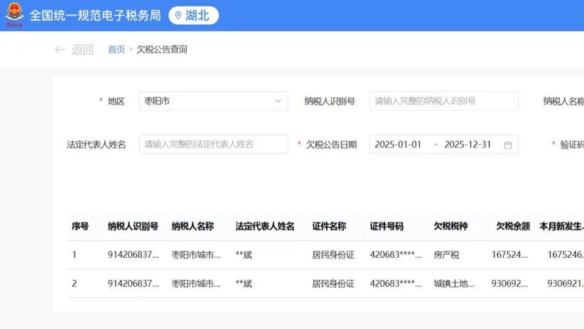 枣阳城投：5038万元执行案件“缠身”，欠税事件频发，“营利”双增难掩短期偿债压力