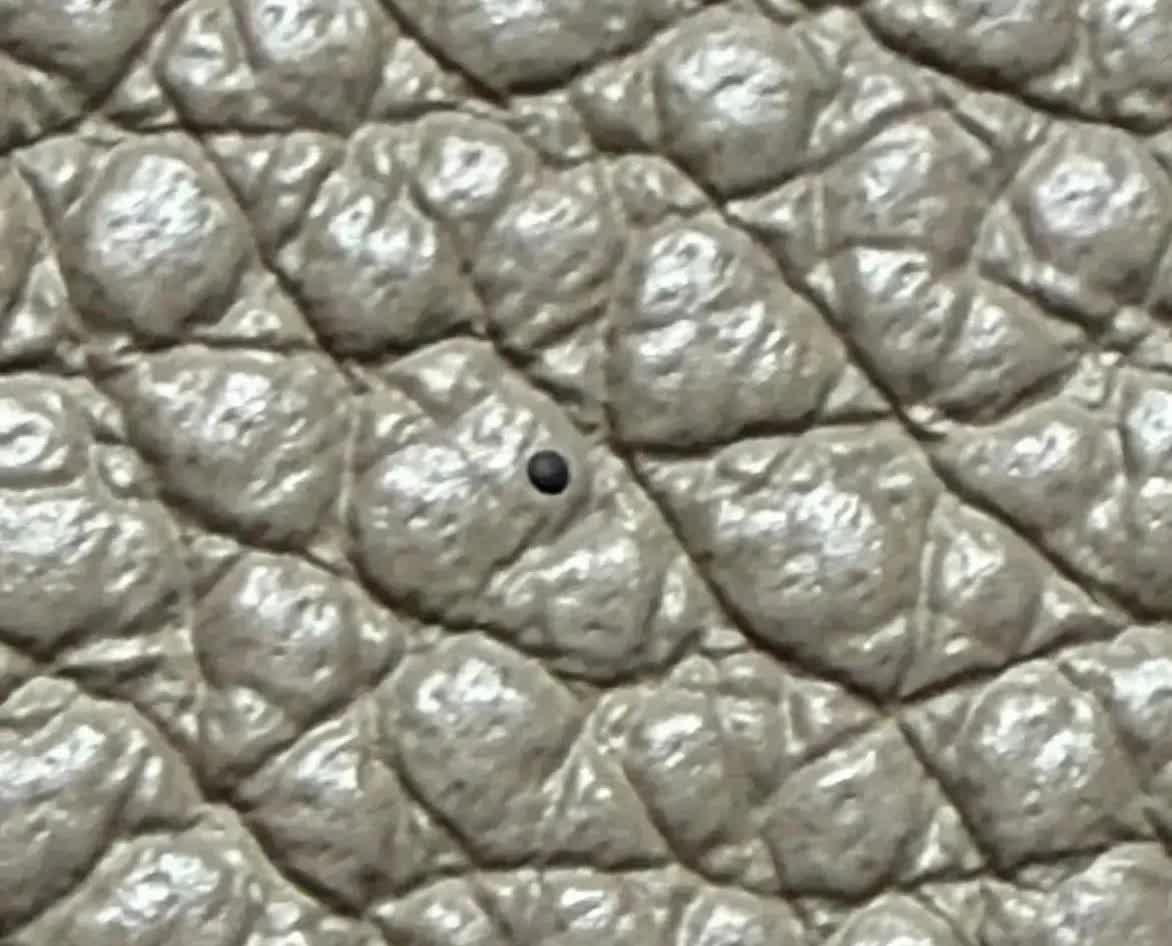 江苏一女子网购包包，用了几天发现包上有个小黑点，本以为是粘上的东西，用手抠却抠不