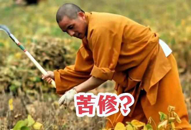 别怪和尚，要斩断红尘做到六根清净是很难的。
只有两种人容易修行成功，一种是经历了