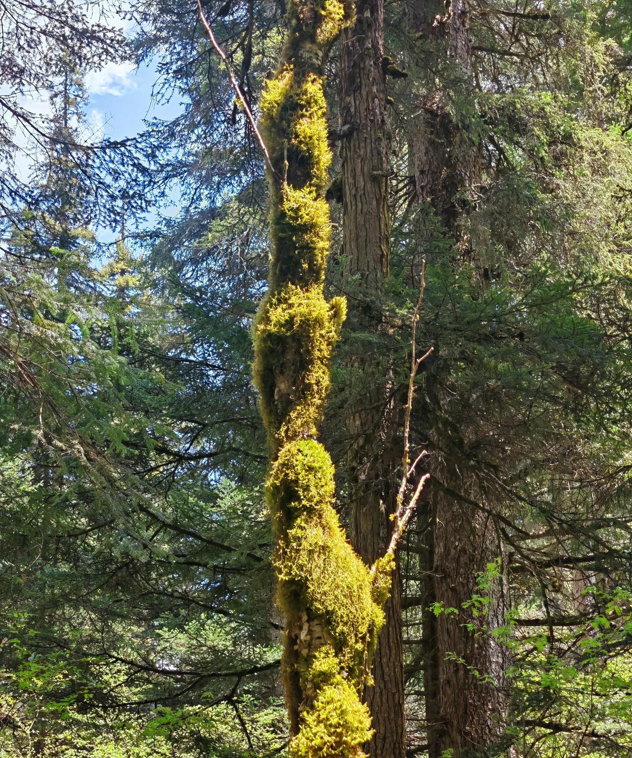 #晒图笔记大赛#
和谐共生
森林公园
奇妙世界