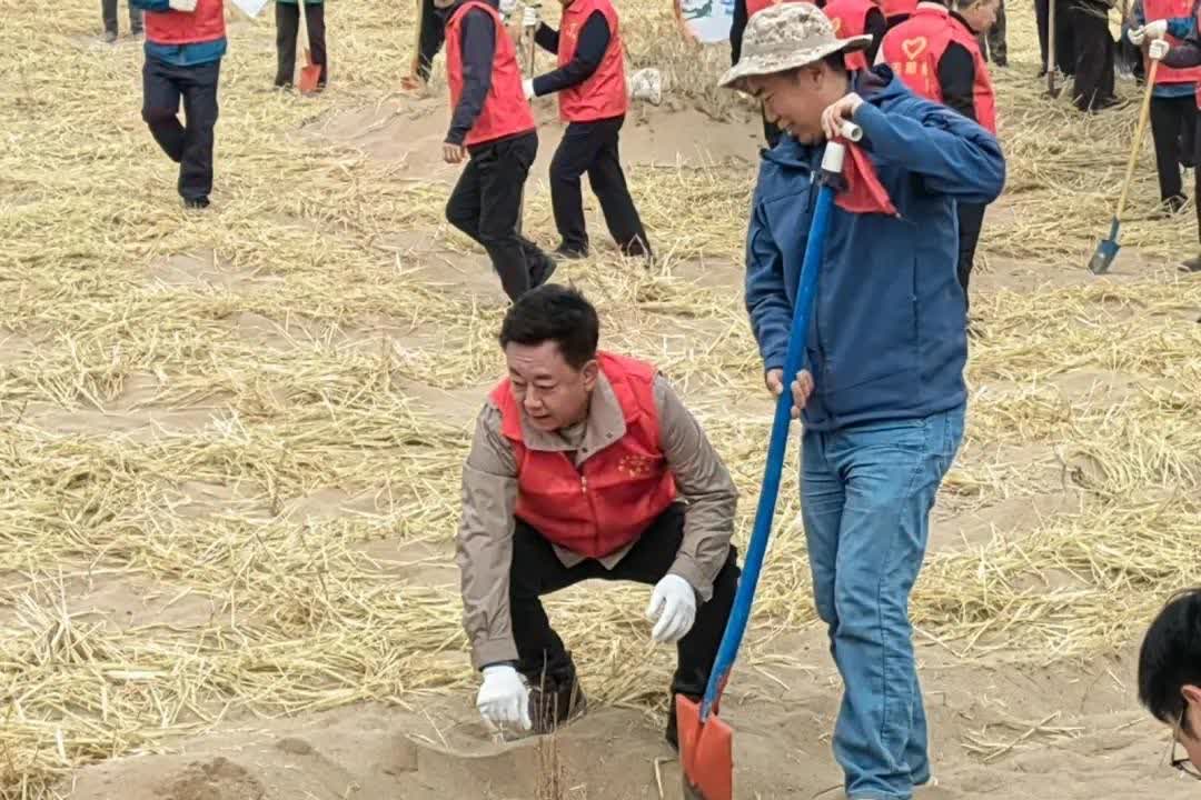 仲春时节，腾格里沙漠边缘的甘肃民勤县迎来一场特殊的“绿色聚会”。3月30日，主持