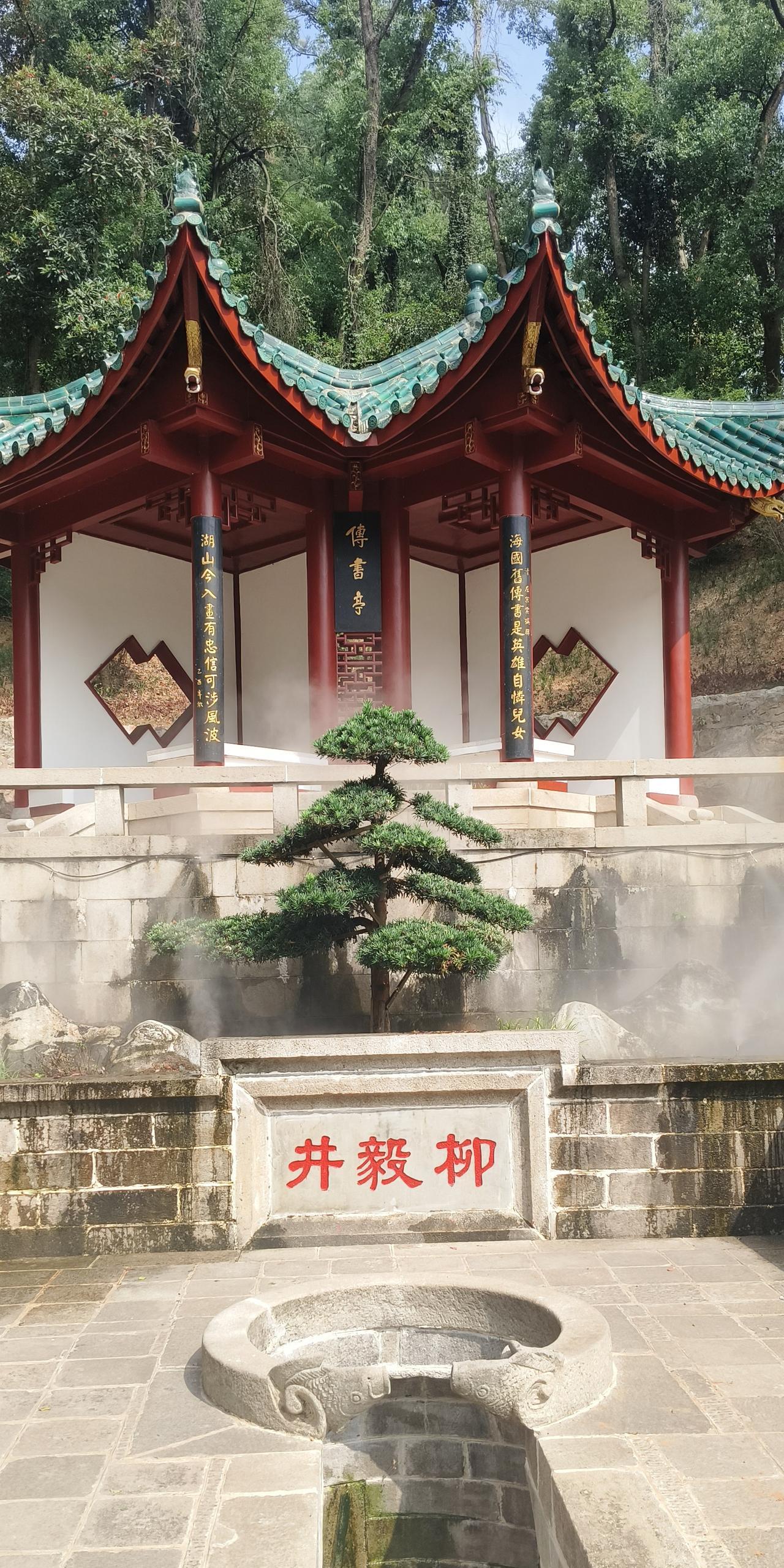 自驾到了君山岛游客中心，门票78，包含摆渡车来回费用。不满14岁的免票。65岁以