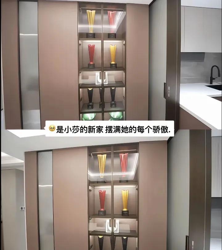 莎莎的新家真漂亮。摆满了骄傲的奖杯。奇怪莎莎和大头家请的同一个装修公司吗？风格柜