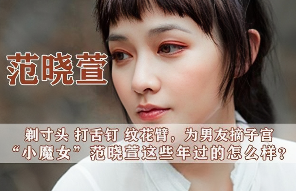 2004年，范晓萱和歌手Allen相恋，两人约定:只恋爱、不结婚，做丁克。同居8