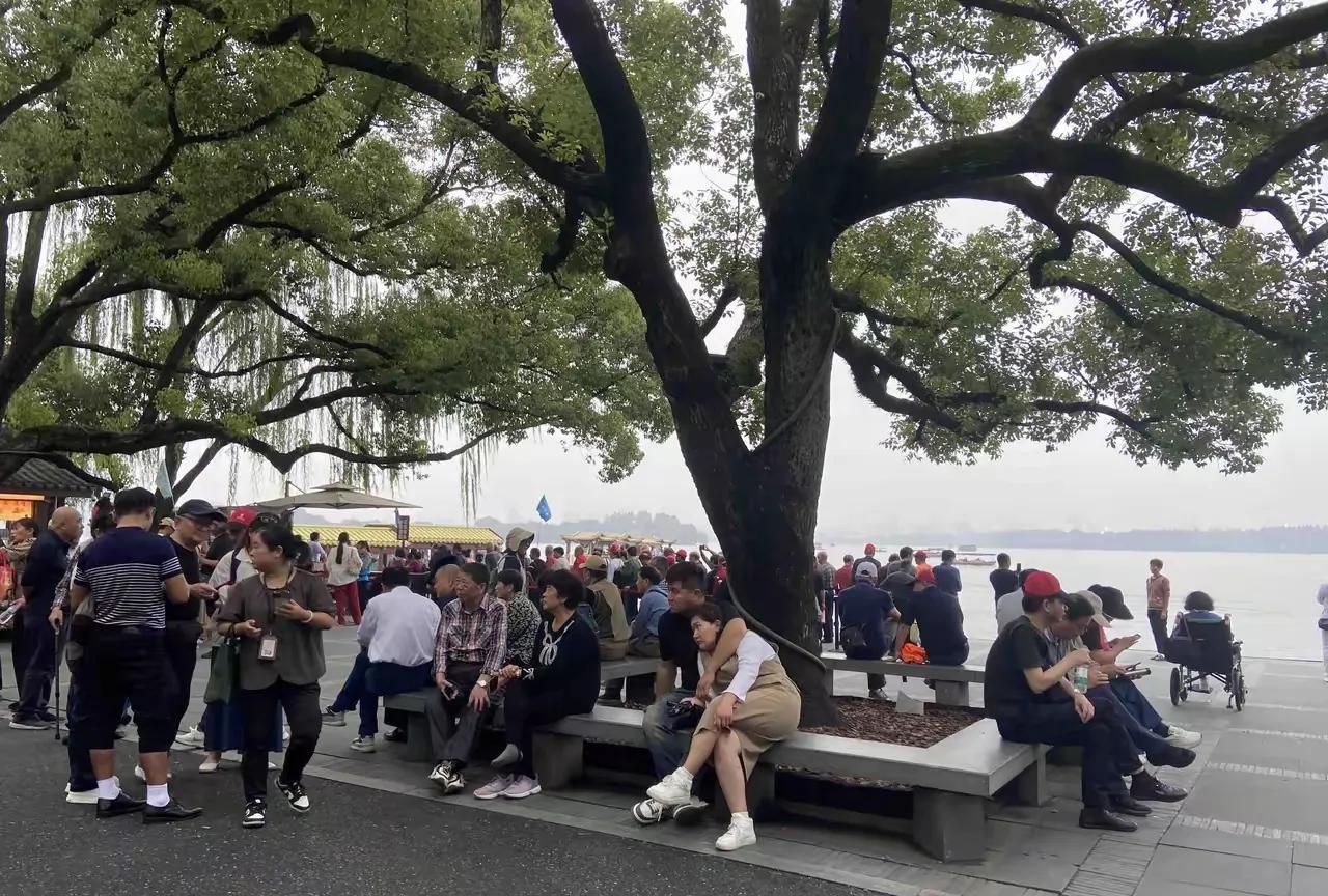 这一对，年纪老大不小了，兴致所到，男的情不自禁把坐在旁边的女人搂了过来，这女的好