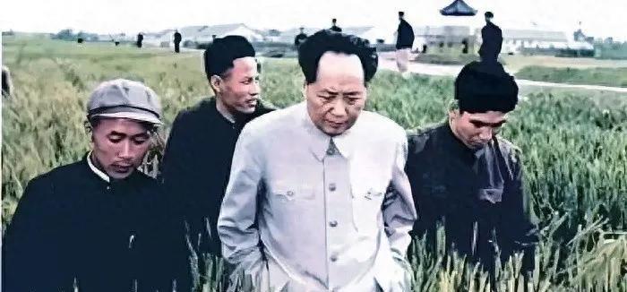 为什么现在好多年轻人也开始说起毛主席那些事了？
其实翻翻老一辈的经历就能明白，新
