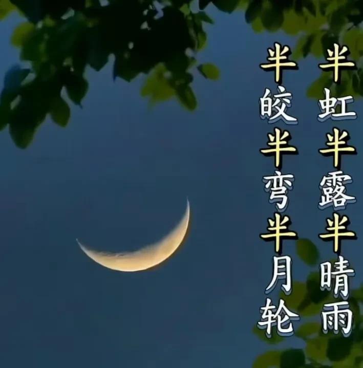 明天是父亲节，该买什么花送给父亲呢？记得前一段过母亲节时，小区业主群里物业头一天