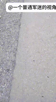 俄罗斯远东地区，一只东北虎（阿穆尔虎）不遵守交通规则，上公路上瞎逛，被一辆越野车