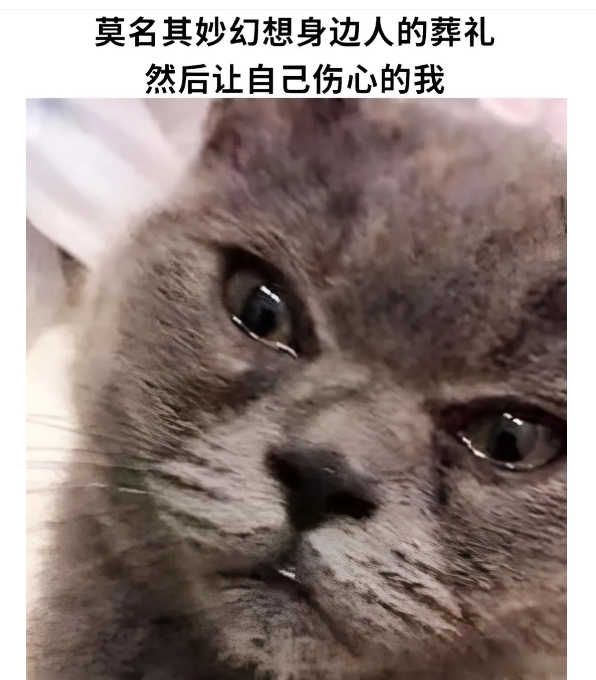 你们也会这样吗