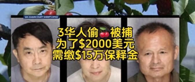 真的是丢人丢到家了！三个在美华人为了贪小便宜，偷摘了2000美元的樱桃，被美国警