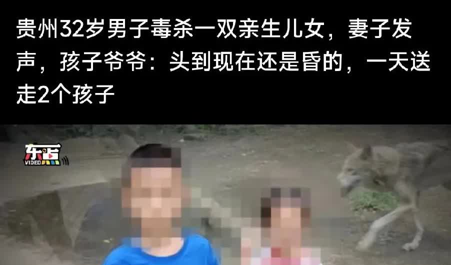 。


太气人了太让人心痛了
当妈的看不了这个
虎毒还不食子
贵州3