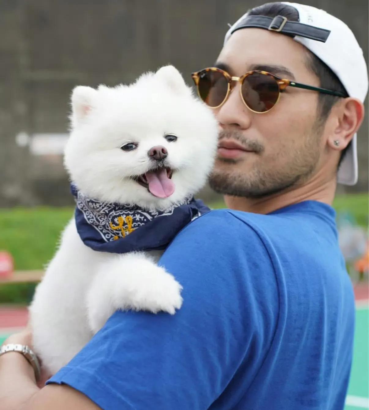 高以翔生前爱犬帝欧近日离世，好友透露它已前往天堂与高以翔及其父亲、爷爷团聚。
高