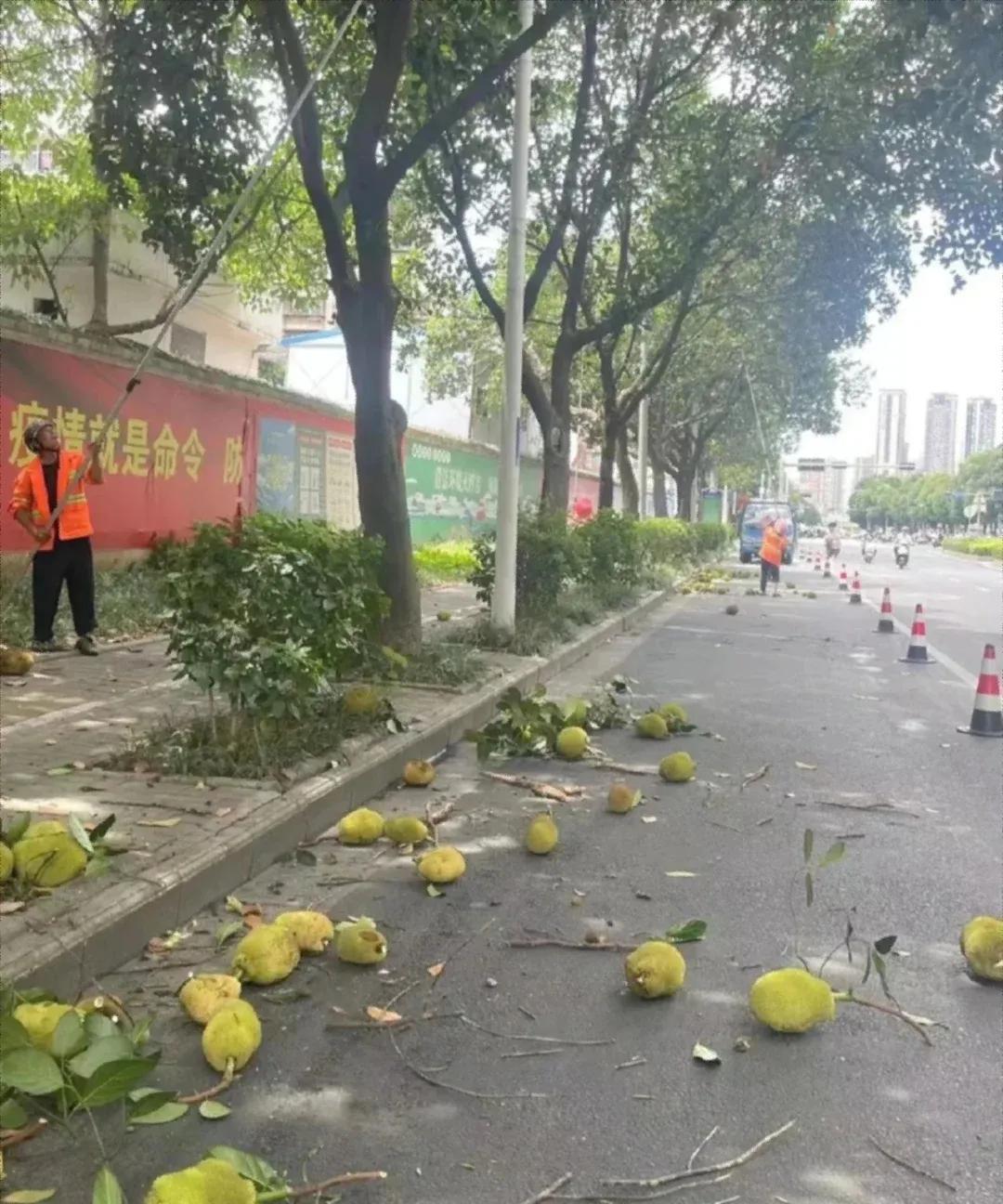 我的天啊，遍地都是，广东这个地方这么豪吗？