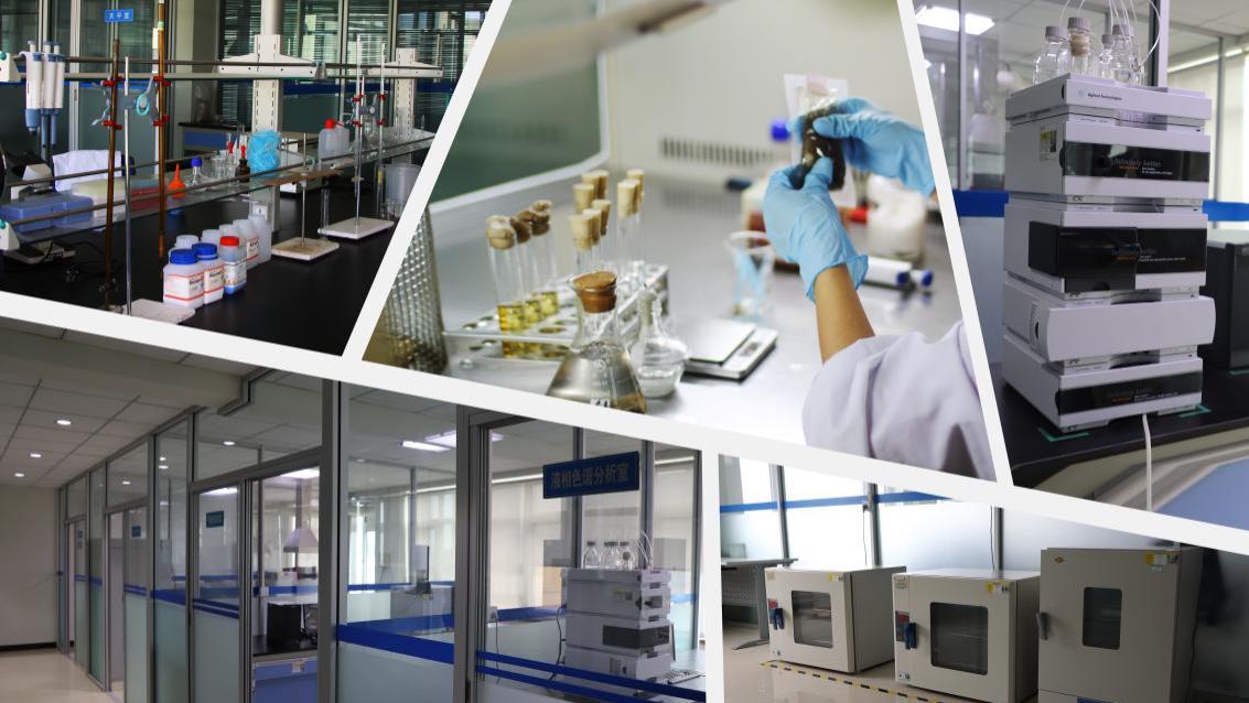 实力认证！晓芹成2025消费名品唯一海参企业品牌