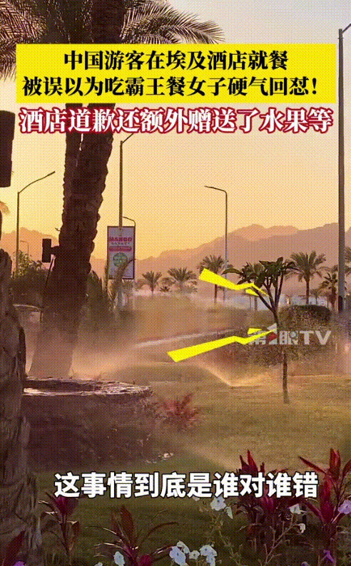 中国游客埃及受辱维权











天呐！难以置信！一位中国游客在埃及餐