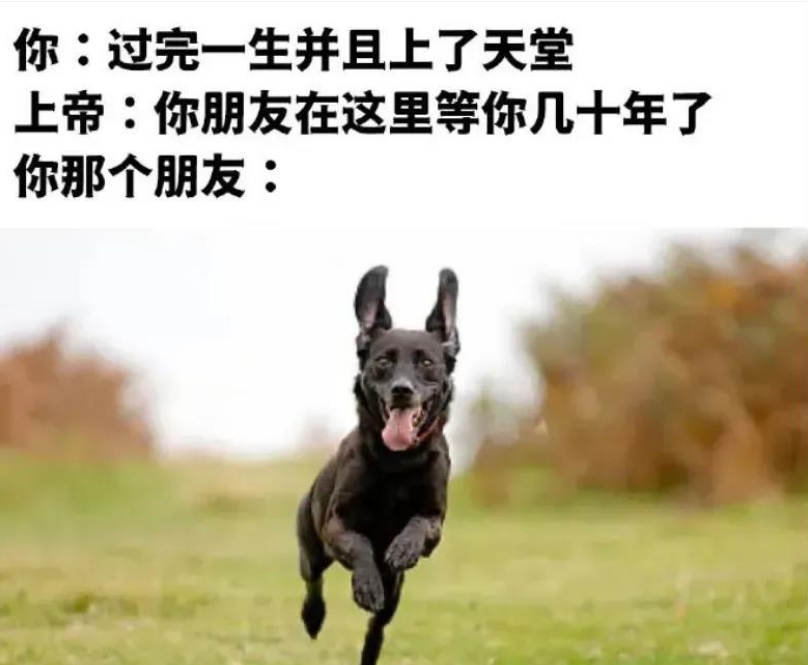 是这样的吗