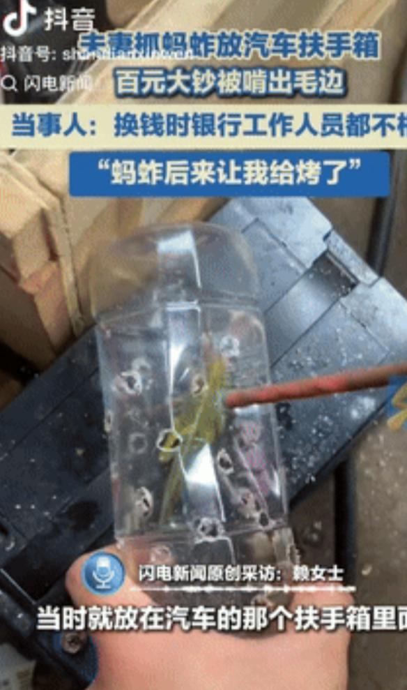 “这下后悔了吧！”湖南永州，一夫妻抓了只蚂蚱，随手放在了汽车的扶手箱里，结果下车