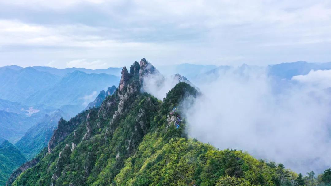 一脚跨南北！河南私藏的“空调分水岭”，夏季22°C！98%原始森林覆盖，记得带好外套