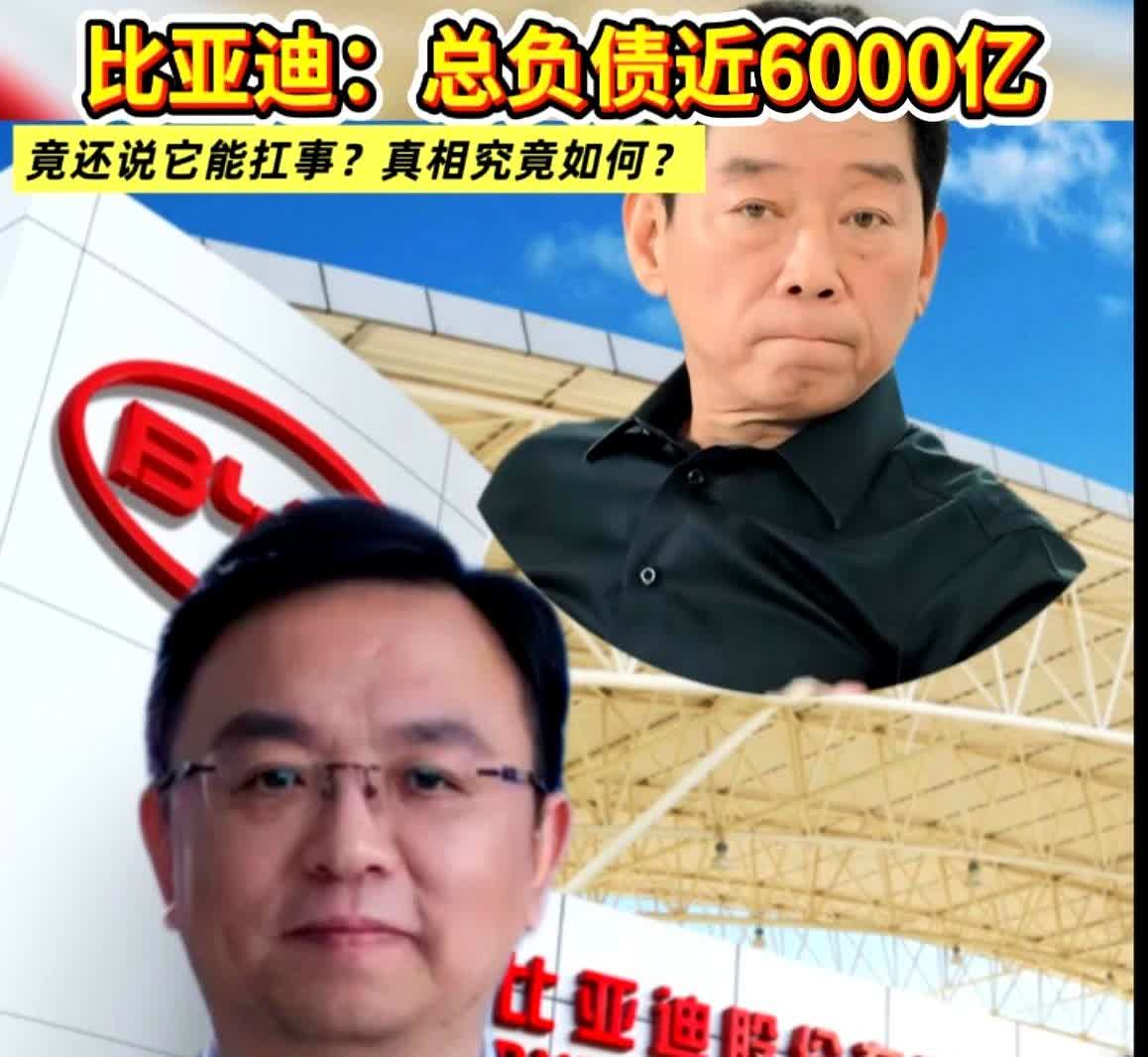 比亚迪这家公司

完全经不起细究

因为仔细查一查就会发现，这家企业实在