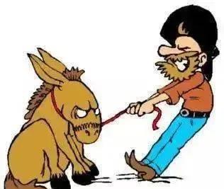 人有时是很奇怪的。比如，以前上班时，早起能挤出半小时去散步。可现在放假了，有大把