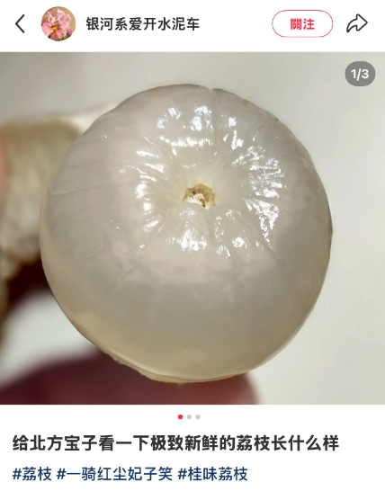 我看到新鲜荔枝馋到发疯，真的好漂亮晶莹剔透的，我吃到的大多数果肉都已经开始发白了