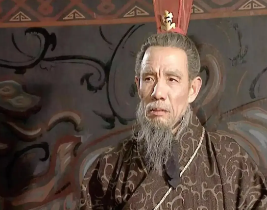 司马懿为什么总是为八王之乱背锅?司马懿为西晋王朝的建立打下了坚实的基础。而西晋开