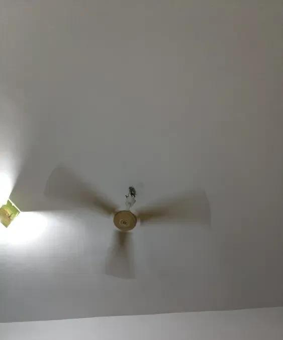 普通人的夏天太难熬了



夏天一到，电费就成了让人头疼的事儿。我家为了省那点空