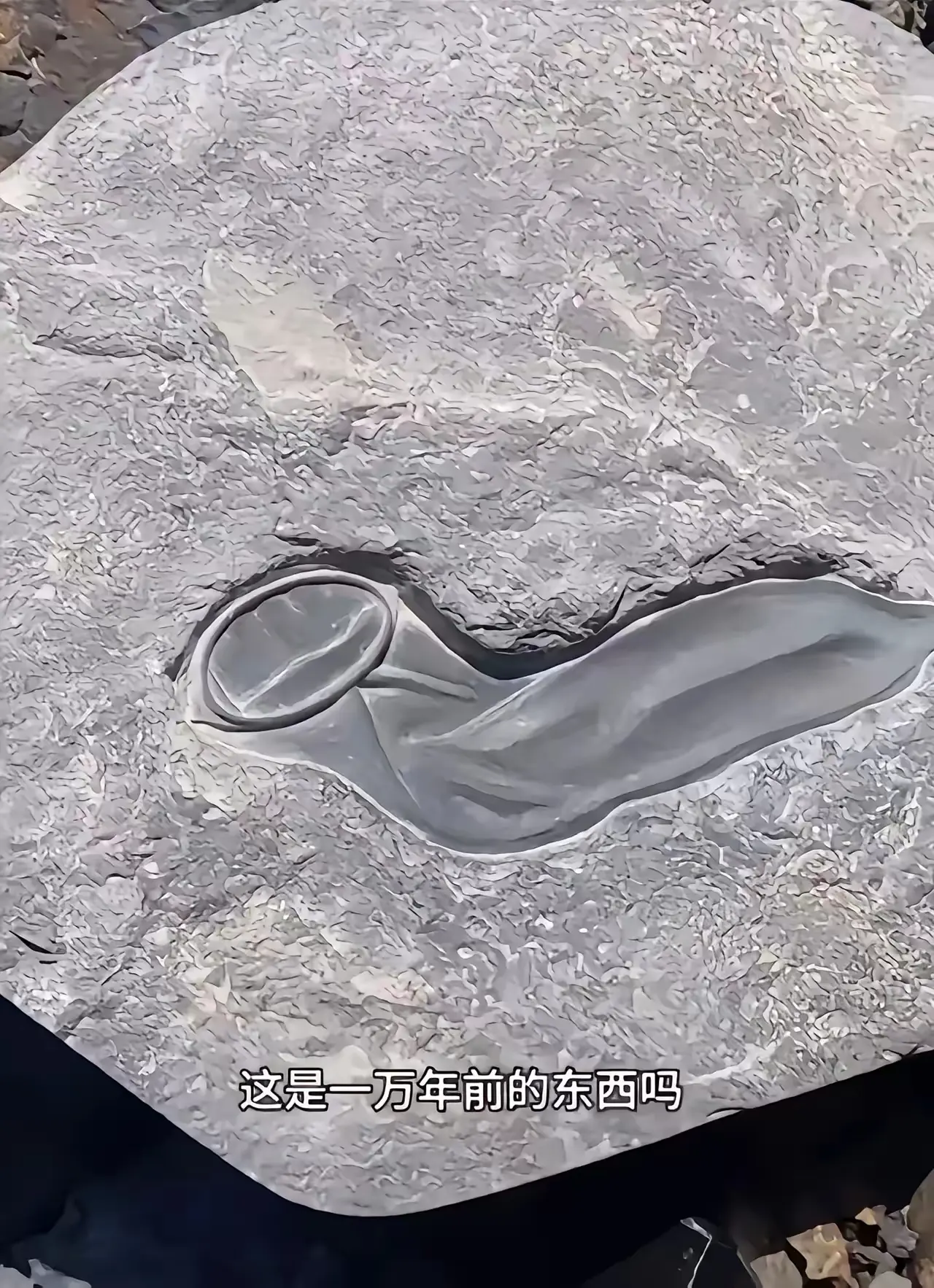 这是我在市场上淘的，老板说这是一万年前的化石，大家帮我看看我上当没…